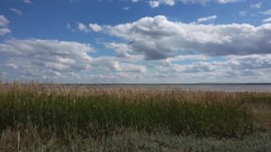 Canadian prairies in the summer