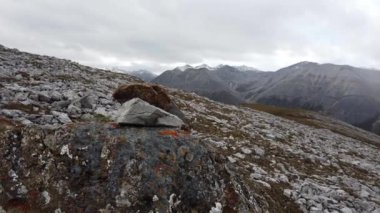 Northern British Columbia in the early fall