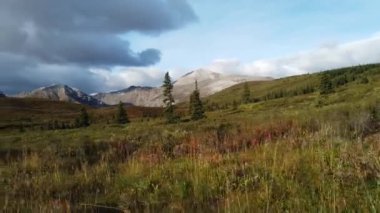 Northern British Columbia in the fall