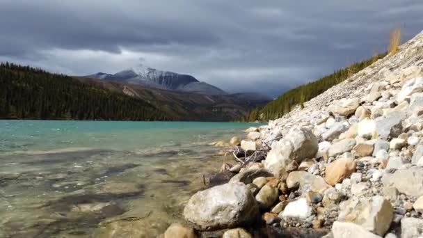 Northern British Columbia Early Fall — стокове відео