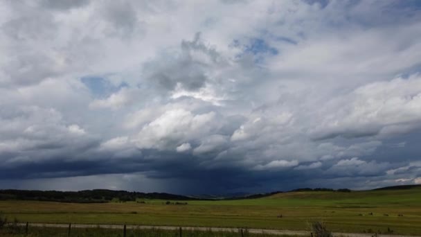 Canadian Prairies Summer — Stock Video