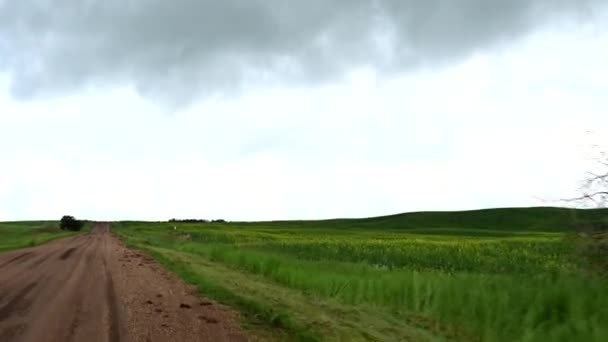 Canadian Prairies Summer — Stockvideo