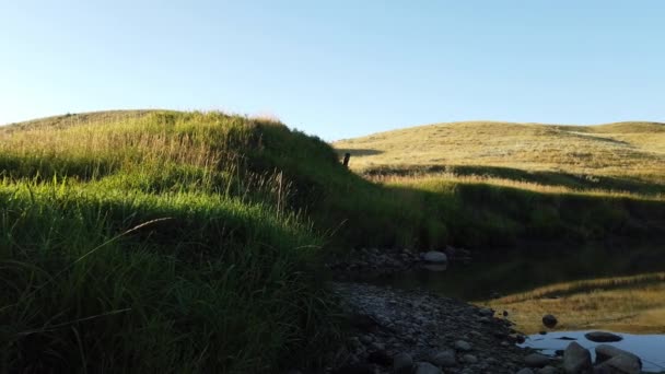 Canadian Prairies Summer — Stockvideo