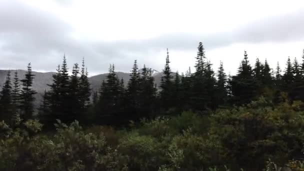 Northern British Columbia Fall — Video Stock