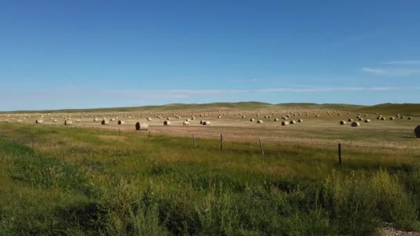 Canadian Prairies Summer — Stock Video