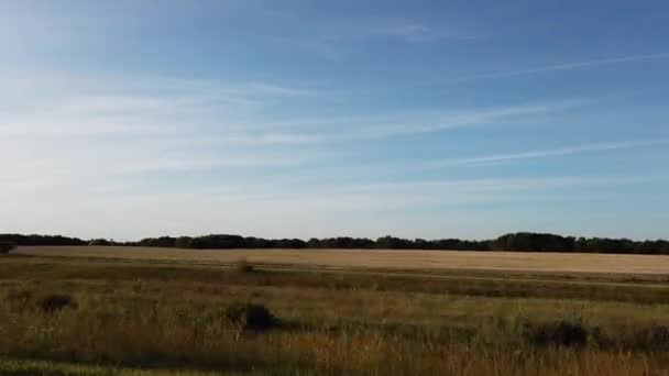 Canadian Prairies Summer — Stockvideo