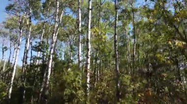 Canadian prairies in the summer
