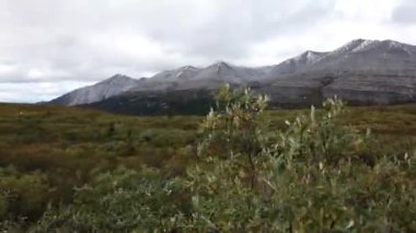 Northern British Columbia in the fall