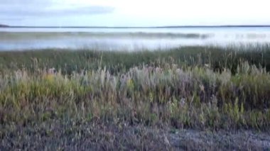 Canadian prairies in the summer
