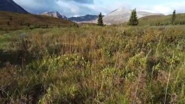 Northern British Columbia in the fall