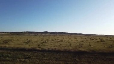 Canadian prairies in the summer