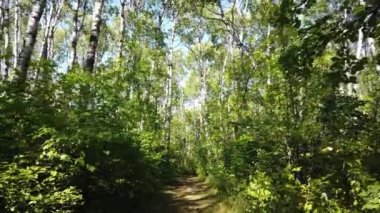 Canadian prairies in the summer