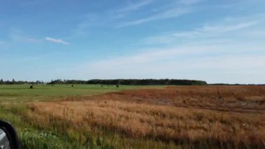 Canadian prairies in the summer