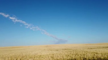 Canadian prairies in the summer