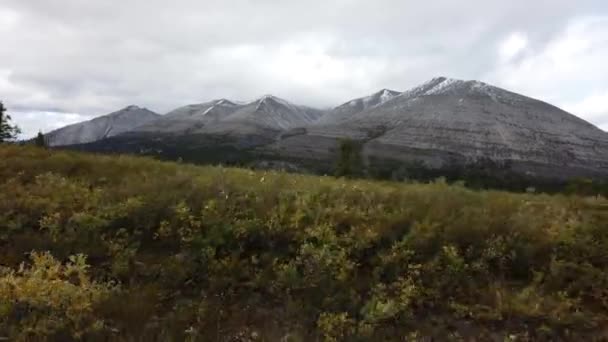 Northern British Columbia Fall — стокове відео