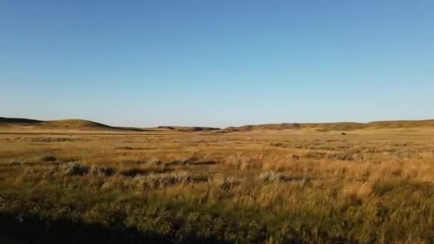 Canadian Prairies Summer — Stock Video