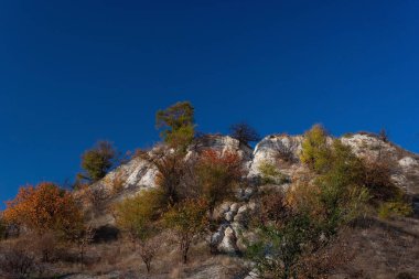 Karpatlar 'da, altın sonbahar soğuğu sık sık kara dönüşür ve sonra tekrar sıcak güneşli günler gelir. Mavi gökyüzünün arka planında sonbahar ağaçlarının manzarası.