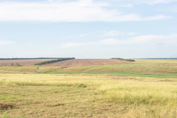 Campos Paisagem Rural Verão Com Grama Seca Amarela Agosto Ucraniana — Fotografia de Stock