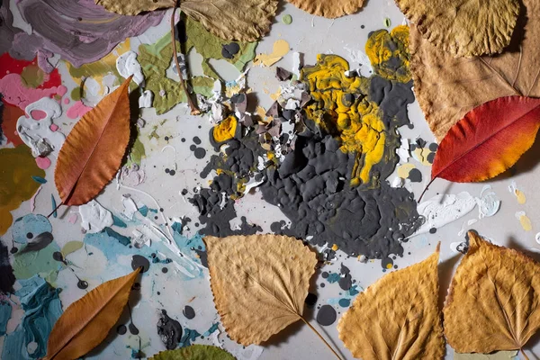Abstrakte Herbstliche Textur Aus Trockenen Blättern Und Farbenfroher Farbe — Stockfoto