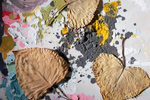 Abstraktní Podzimní Textura Suchých Listů Barevné Barvy — Stock fotografie