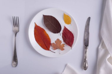 yaratıcı sonbahar konsepti kantin masası sonbahar yapraklarını beyaz arka planda bir tabağa koyuyor.
