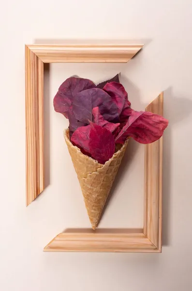 ベージュを基調にしたトレンドカラーの紅葉のアイスクリーム 最小限の概念は — ストック写真