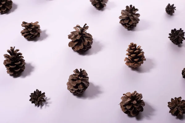 Beyaz Arka Planda Köknar Ağacı Konilerinin Noel Kompozisyonu — Stok fotoğraf
