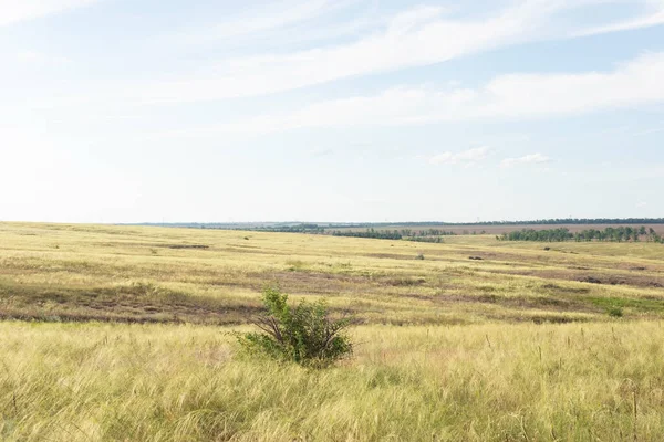 Wiejskie Pola Krajobrazowe Lecie Żółtą Suchą Trawą Sierpień Ukraina — Zdjęcie stockowe