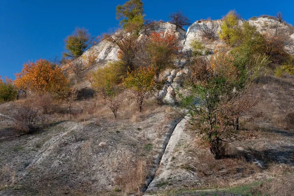 Karpatlar 'da, altın sonbahar soğuğu sık sık kara dönüşür ve sonra tekrar sıcak güneşli günler gelir. Mavi gökyüzünün arka planında sonbahar ağaçlarının manzarası.