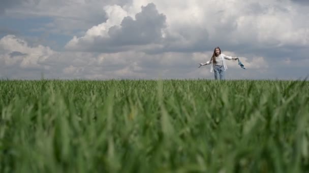 Piccola adolescente che corre in un campo di erba verde, su uno sfondo di cielo nuvoloso — Video Stock