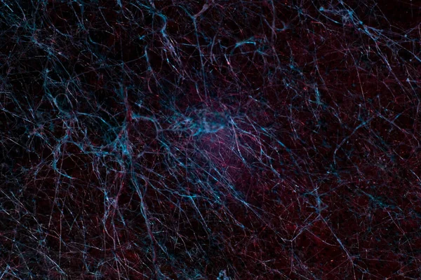 kırmızı soyut arkaplan desenli arkaplan. Küfün makrofotoğrafçılığı. Kalıp lifleri ve kristaller, bir nöral ağ gibi..