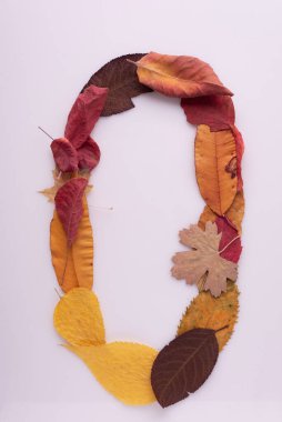 number 0 autumn leaves isolate on white background.