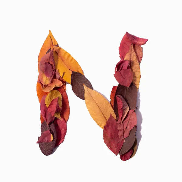 Letter Autumn Leaves Isolate White Background — Stockfoto