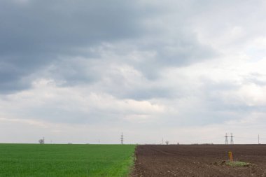 Ukrainian landscape of a half-green field of grass against a cloudy sky.