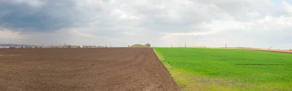 Panoramic Landscape Half Green Ukrainian Field Spring — Foto de Stock