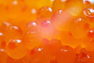 Fresh red caviar on whole background, close up.