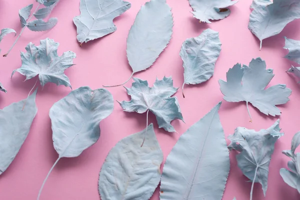 Blue Leaves Pink Background Autumn Composition Texture Concept Art Minimal — Stok fotoğraf