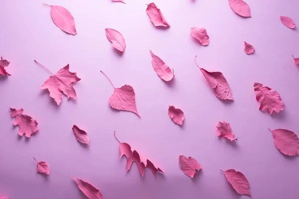 Pink Autumn Leaves Pink Background Minimal Composition — Fotografia de Stock