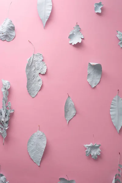 Blue Autumn Leaves Pink Background Minimal Creative Composition — Stok fotoğraf