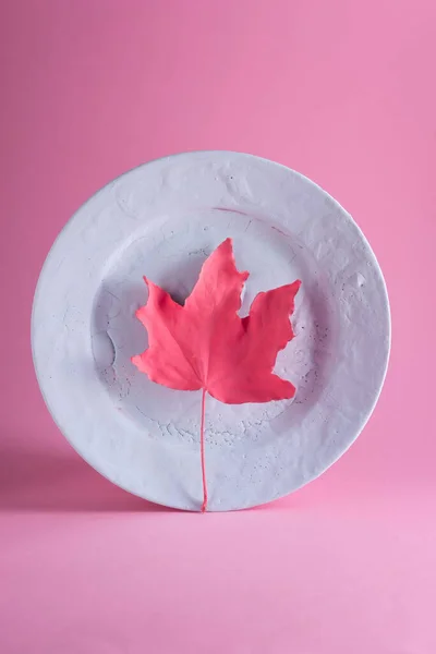 Blue Autumn Maple Leaf Pink Background Minimalistic Autumn Still Life — ストック写真