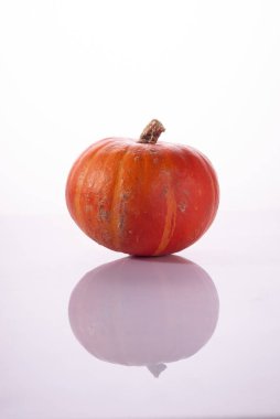 Beyaz arka plan üzerinde izole küçük turuncu kabak.