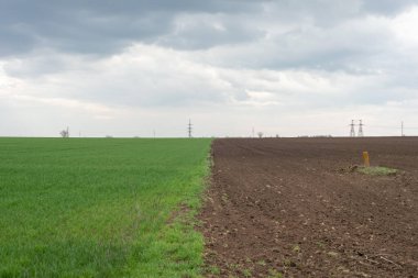 Ukrainian landscape of a half-green field of grass against a cloudy sky.