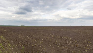 Ukrainian field landscape before sowing season in early spring.