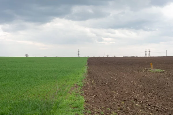 Ukrainian Landscape Half Green Field Grass Cloudy Sky — Foto de Stock