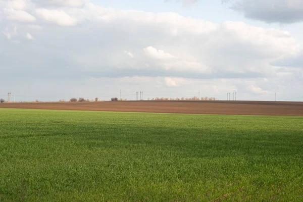 Ukrainian Landscape Green Field Spring Cloudy Sky — Zdjęcie stockowe