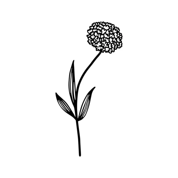 Черно Белая Иллюстрация Георгины Длинном Стебле Один Изолированный Абстрактный Цветок — стоковый вектор