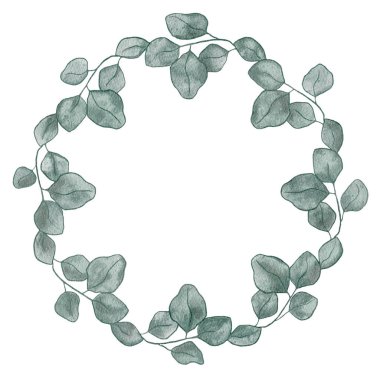 Okaliptüs yapraklarından suluboya çelenk çerçevesi beyaz arka planda. Pastel renklerde çiçek çelengi çizimi ve metin için boşluk. 