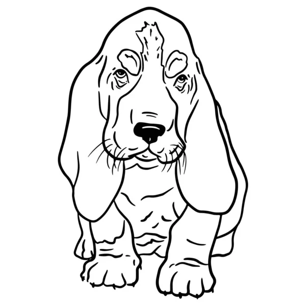Black White Outline Illustration Cute Basset Hound Puppy Your Design — Stock Vector