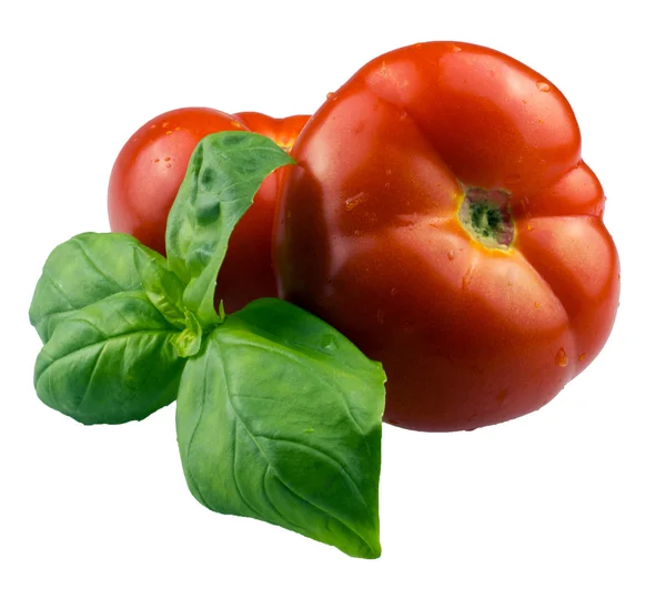 Dwa liście wołowiny pomidorów i bazylii na białym tle — Zdjęcie stockowe