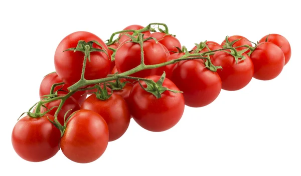 Cherry tomatoes on the branch - Isolated. — Stock Photo, Image